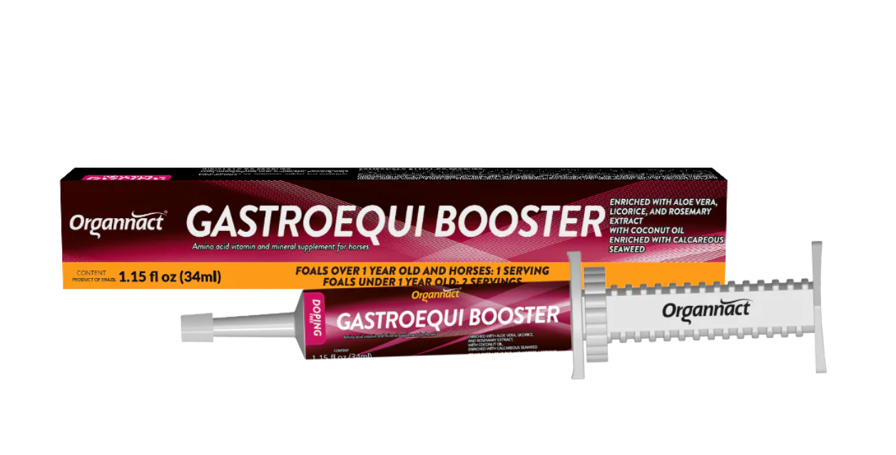 Organnact Gastro Equi Booster