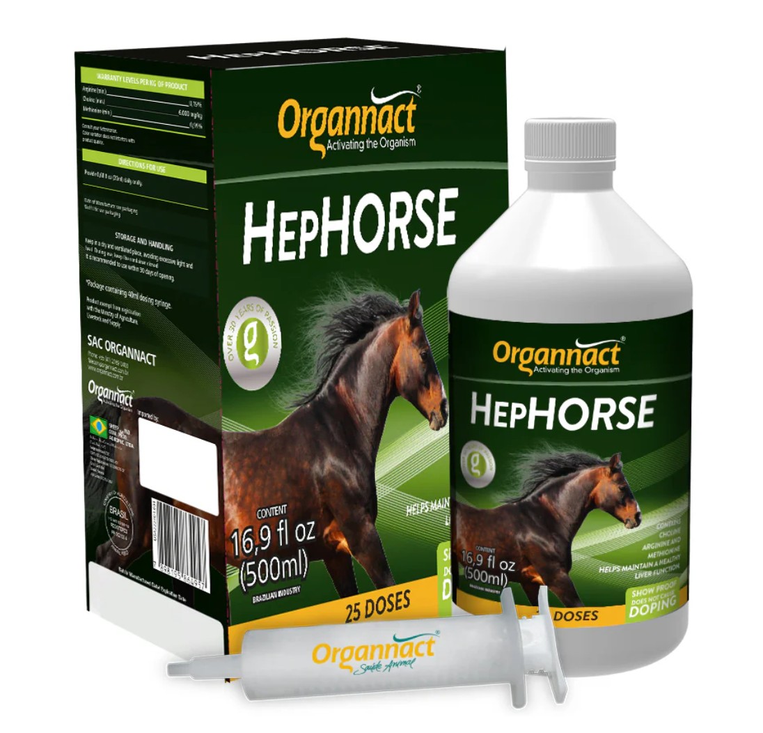Hep Horse