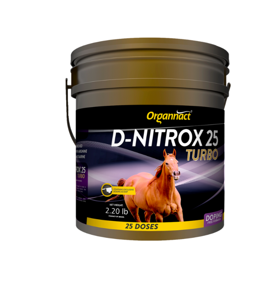 D Nitrox 25 Turbo