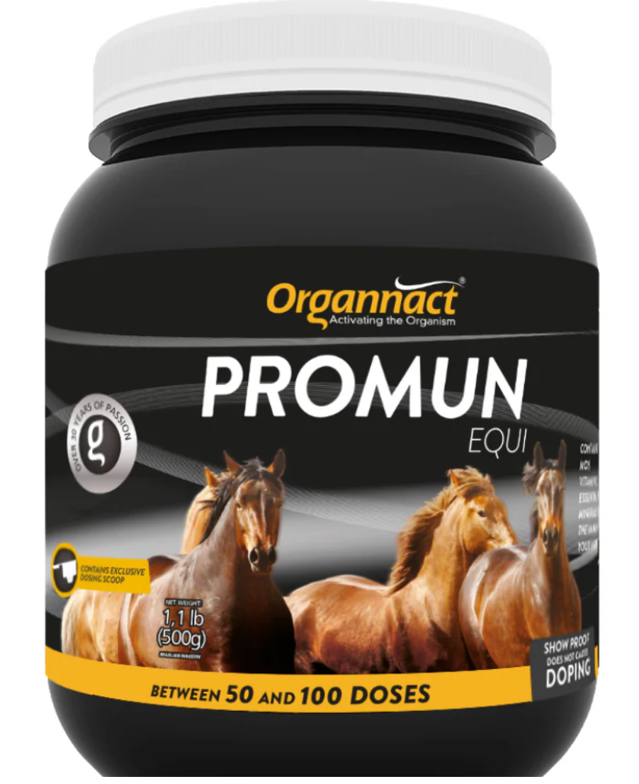 PROMUN EQUI