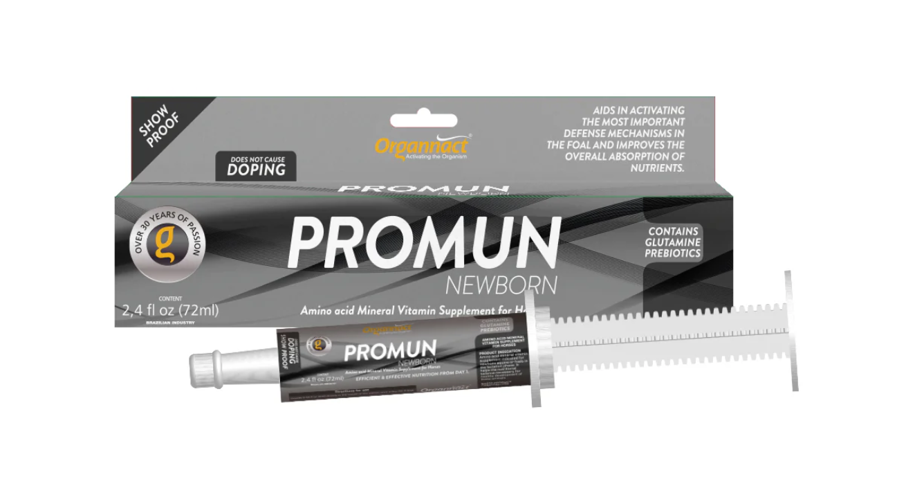 Promun Newborn Horse Supplement