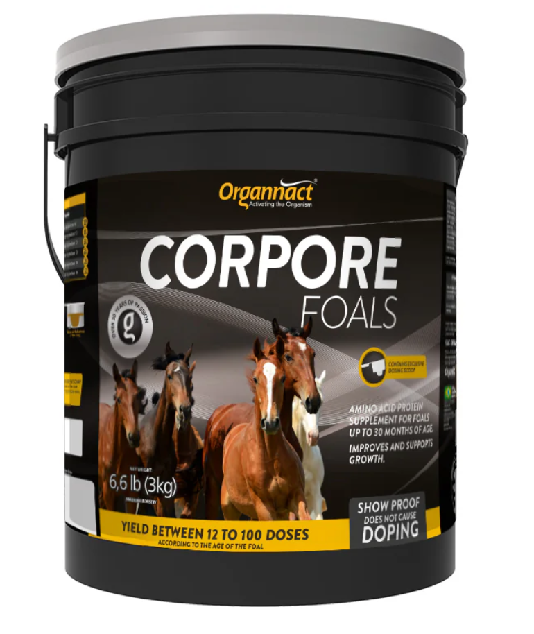 Corpore Foals Horse Supplement