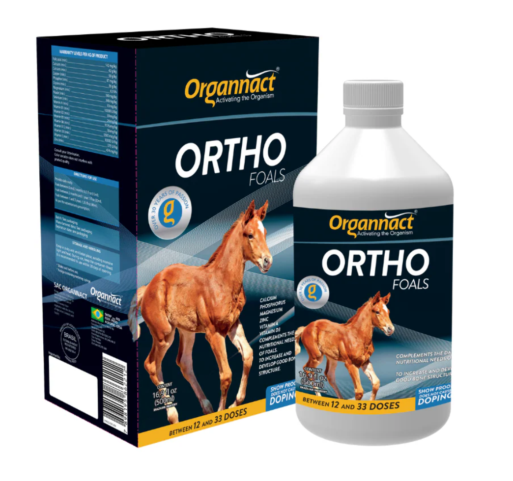 Ortho Foals Horse Supplement