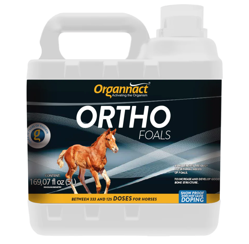 Ortho Foals Horse Supplement