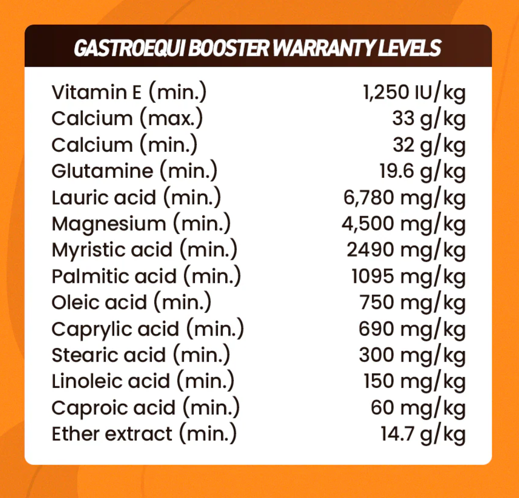 Organnact Gastro Equi Booster